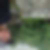 La photo du membre