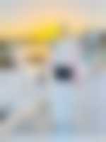 صورة العضو