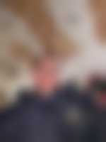 La photo du membre