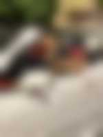 صورة العضو