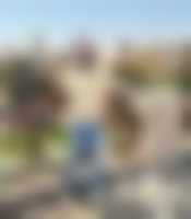 La photo du membre
