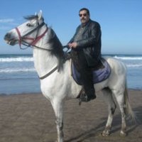 صورة العضو