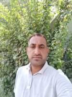 صورة العضو