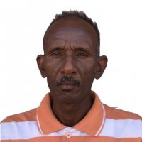 صورة العضو