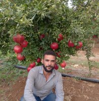 صورة العضو