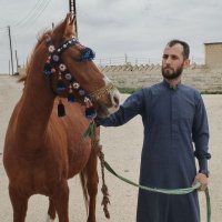 Marriage website