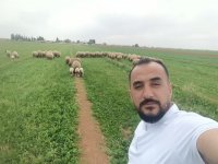 موقع زواج