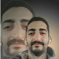 صورة العضو