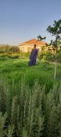Site de mariage