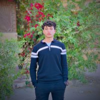 صورة العضو